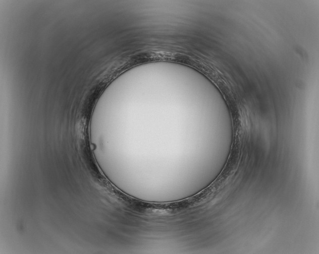 X0000112920649200908241032