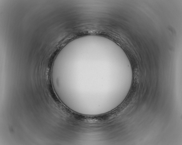 X0000112920650200908241032