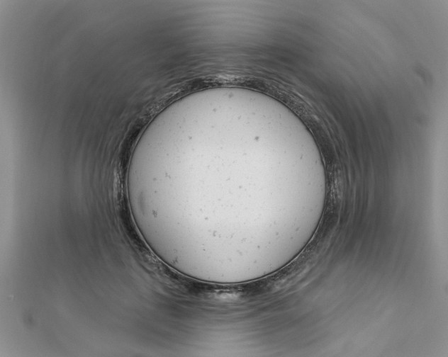 X0000112920651200908241032