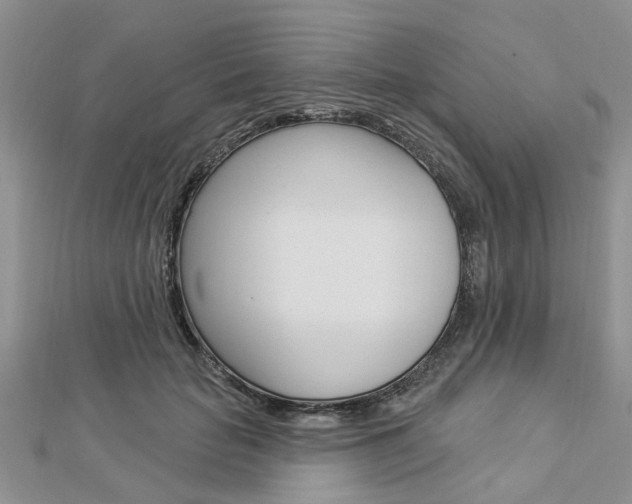 X0000112920653200908241032