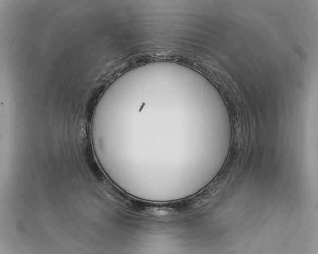 X0000112920654200908241032