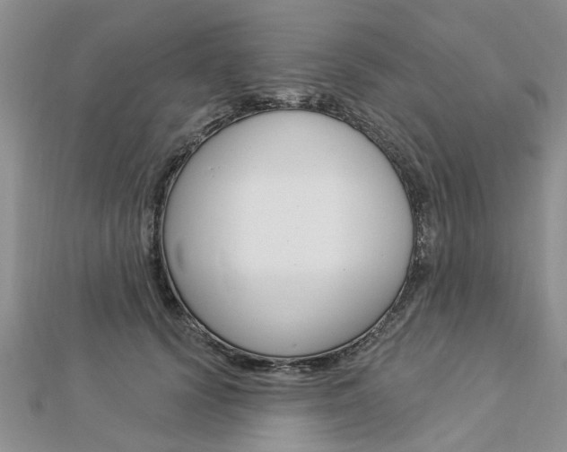 X0000112920656200908241032