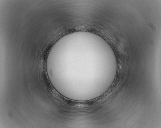 X0000112920659200908241032