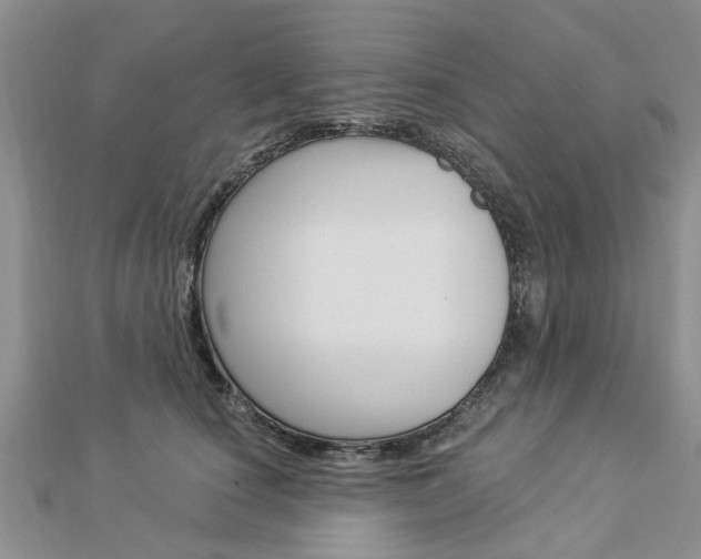 X0000112920660200908241032