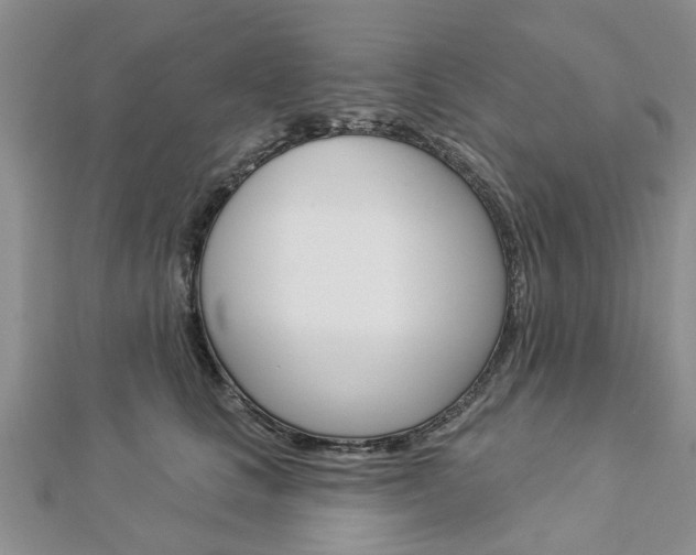 X0000112920661200908241032
