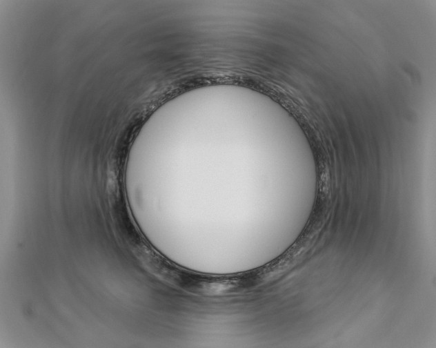 X0000112920662200908241032