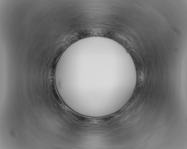 X0000112920663200908241032