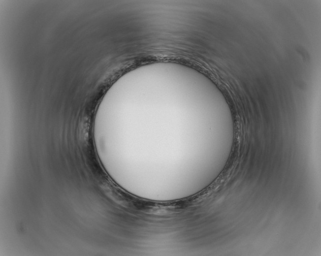 X0000112920664200908241032