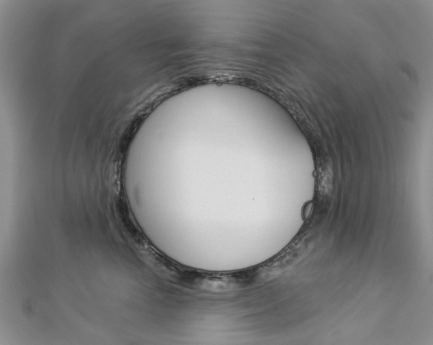 X0000112920666200908241032