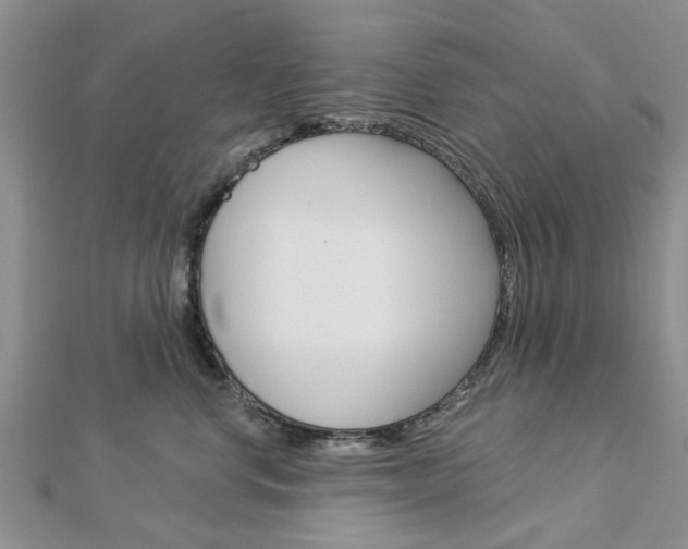 X0000112920668200908241032