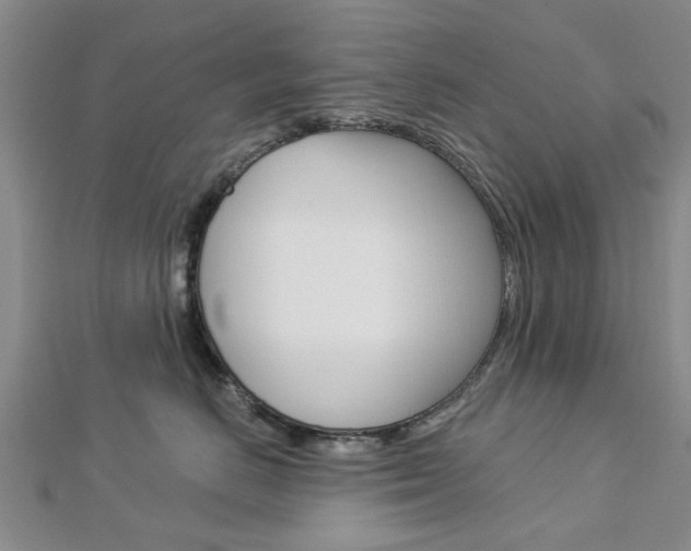 X0000112920670200908241032