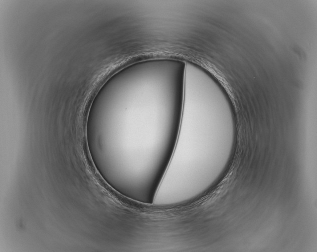X0000112920673200908241031