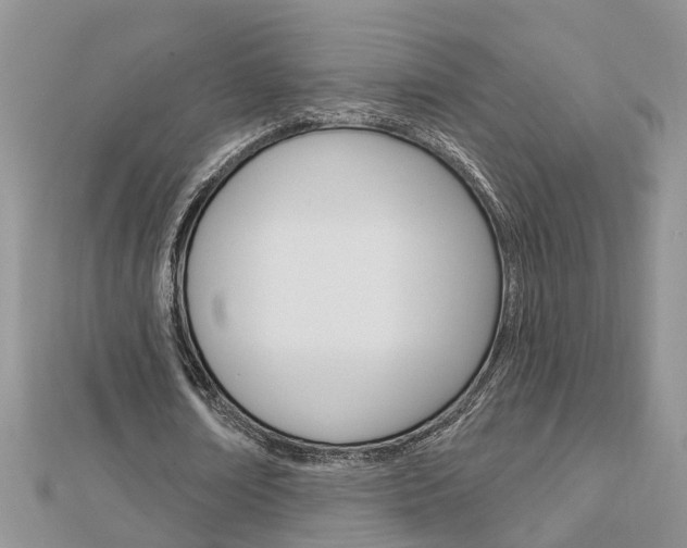 X0000112920674200908241031