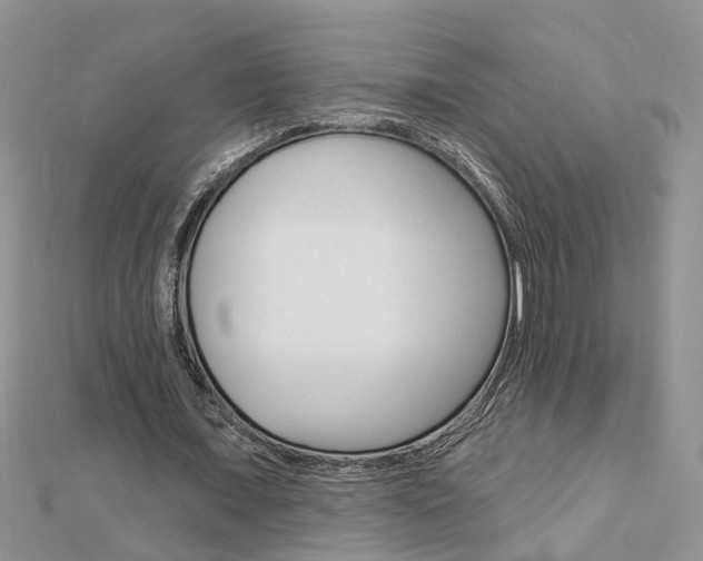 X0000112920675200908241031