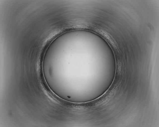 X0000112920677200908241031