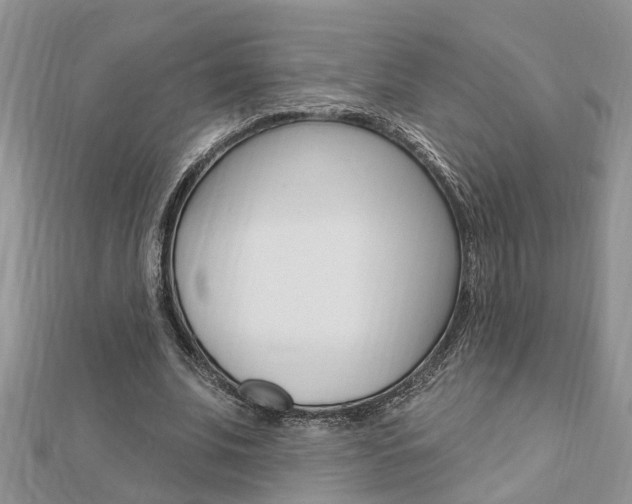 X0000112920679200908241031