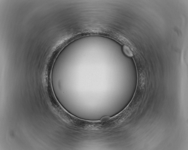 X0000112920680200908241031