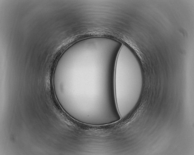 X0000112920681200908241031