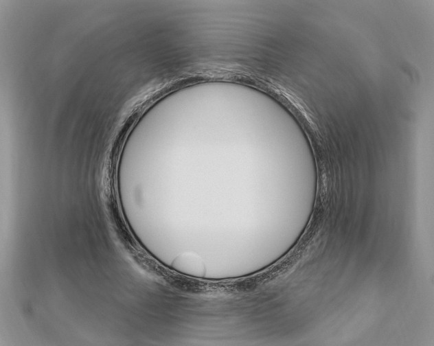 X0000112920682200908241031