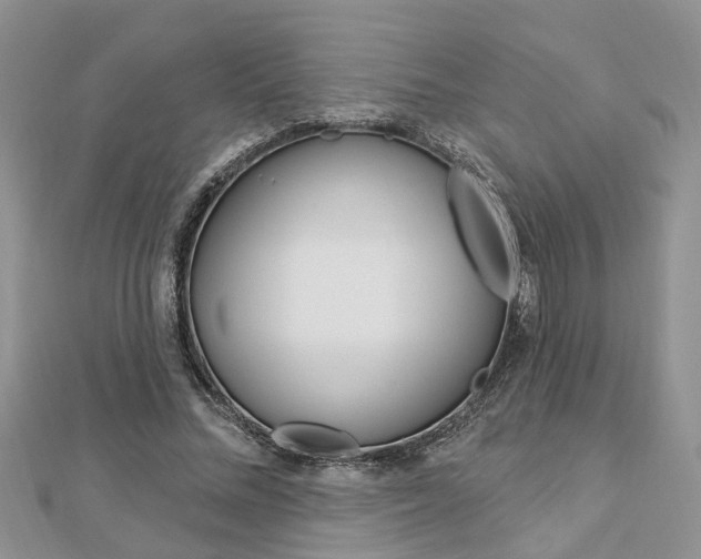 X0000112920684200908241031