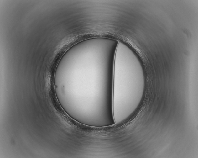 X0000112920685200908241031