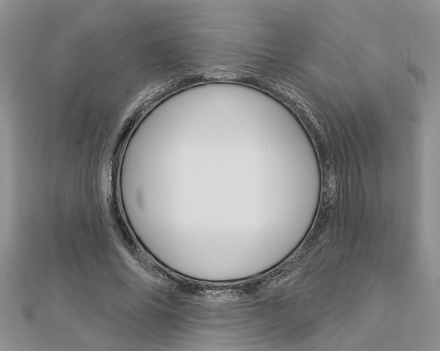 X0000112920686200908241031