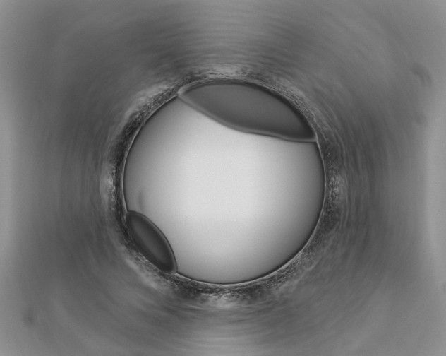 X0000112920688200908241031