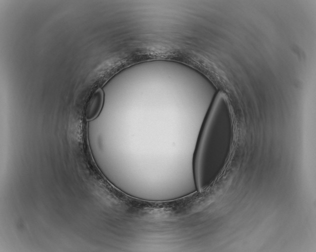 X0000112920689200908241031