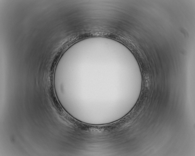 X0000112920690200908241031