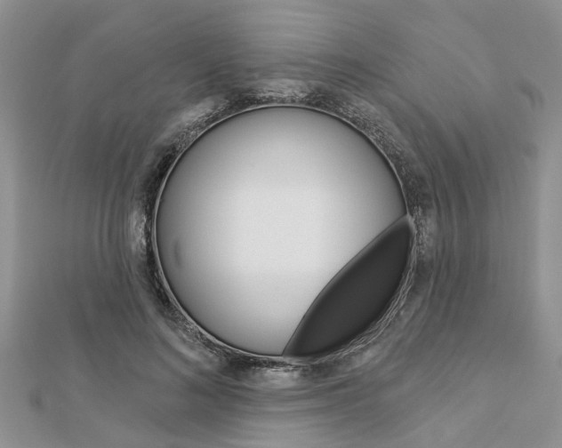 X0000112920692200908241031