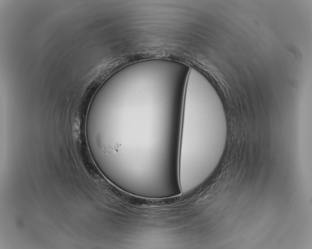 X0000112920693200908241031