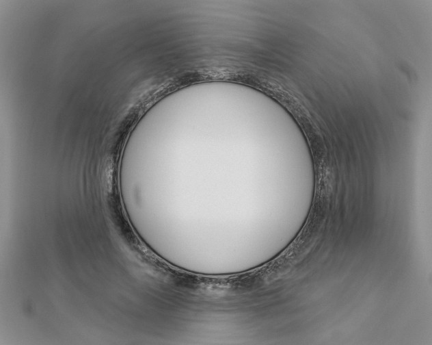 X0000112920694200908241031