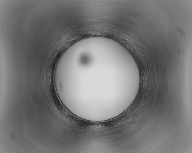 X0000112920695200908241031