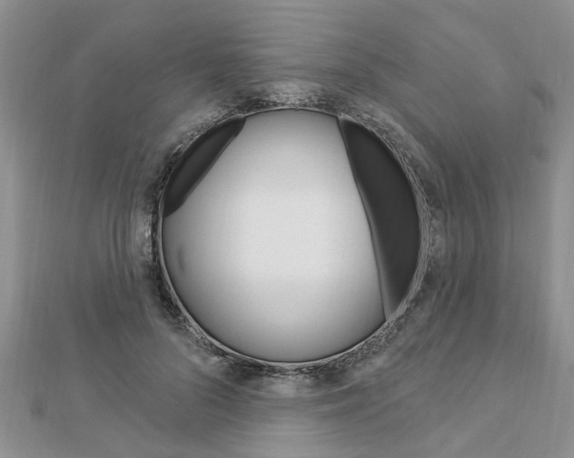 X0000112920696200908241031