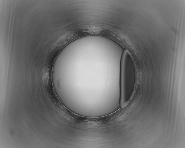 X0000112920697200908241031