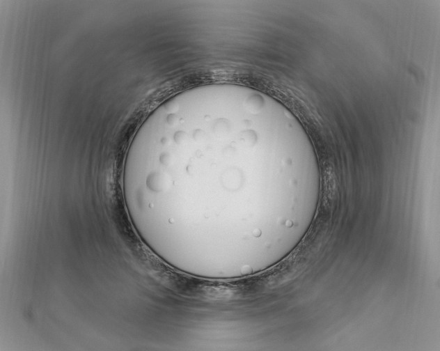 X0000112920698200908241031