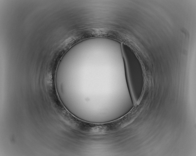 X0000112920700200908241031