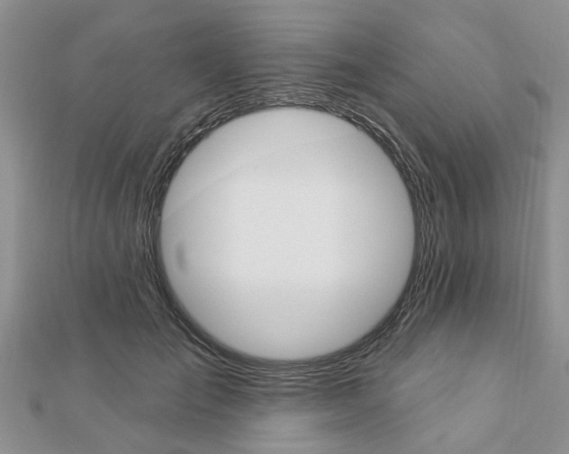 X0000112920701200908241031