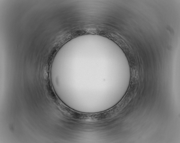 X0000112920702200908241031