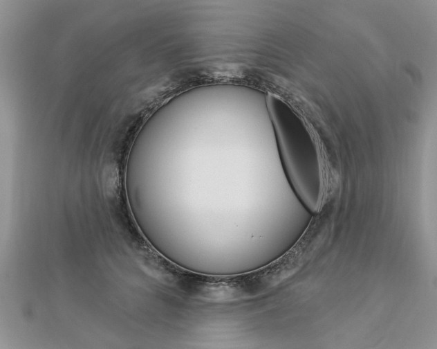 X0000112920704200908241031