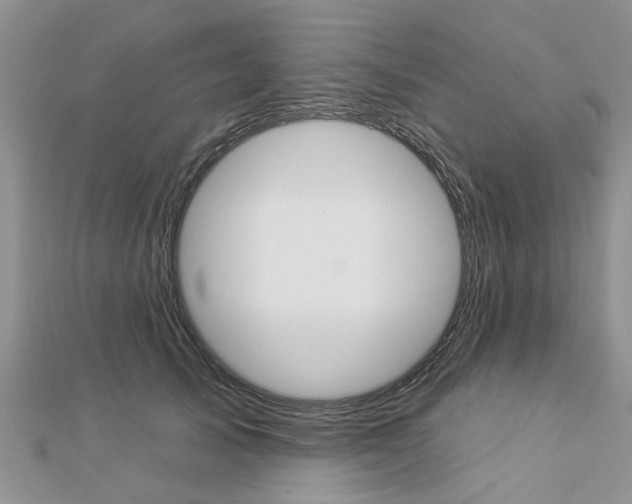 X0000112920705200908241031
