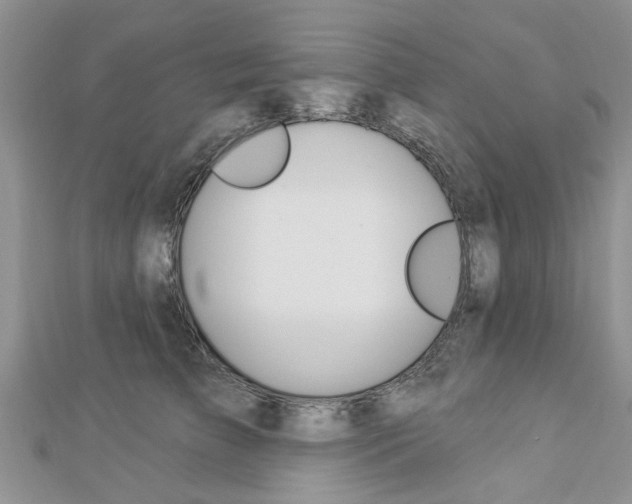 X0000112920709200908241031