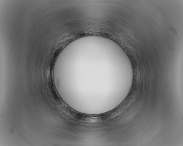 X0000112920711200908241031
