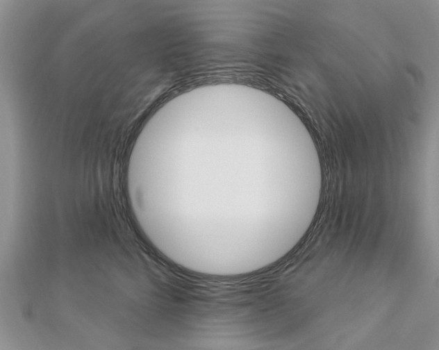 X0000112920712200908241031