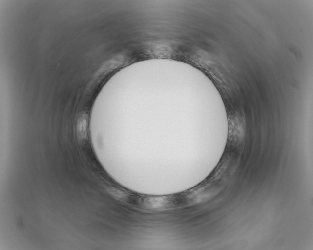 X0000112920717200908241031