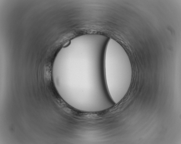 X0000112920719200908241031
