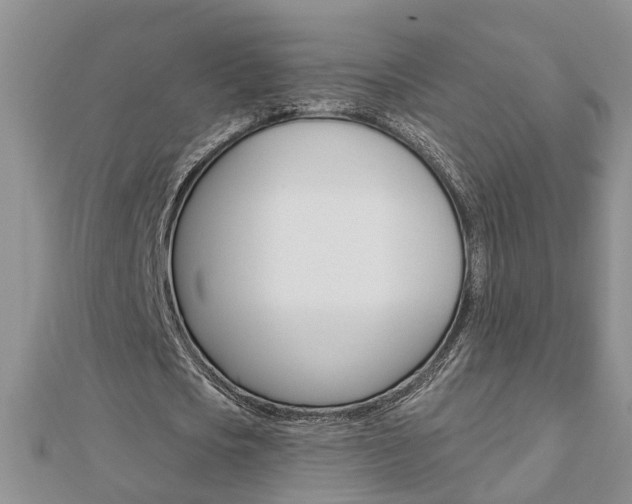 X0000112920721200908241030