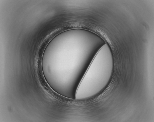 X0000112920722200908241030