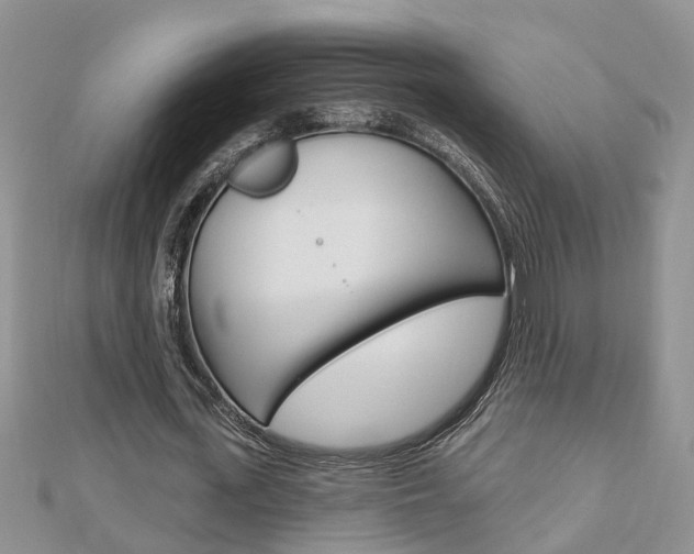 X0000112920723200908241030
