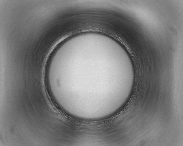 X0000112920724200908241030